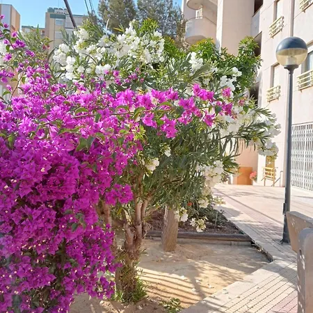 Apartment Balcon Del Mar Alicante