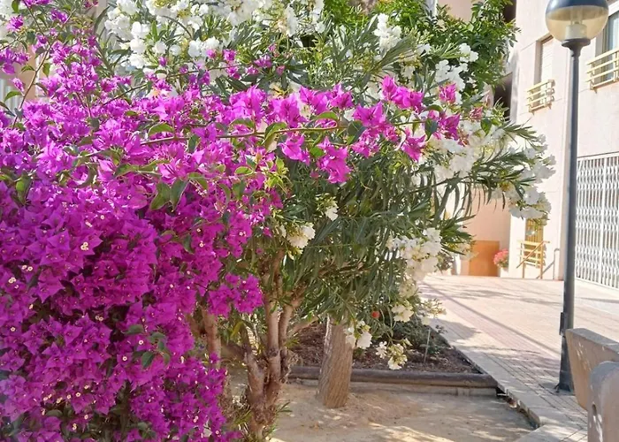 公寓 Balcon Del Mar 阿利坎特